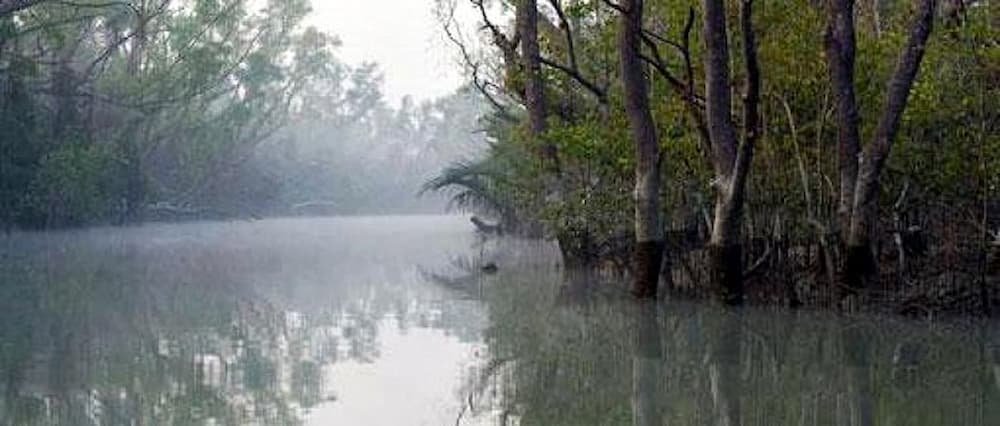 Sunderbans