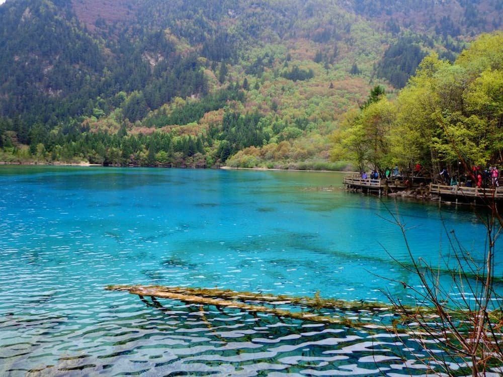 Five Flower Lake in Jiuzhaigou National Park