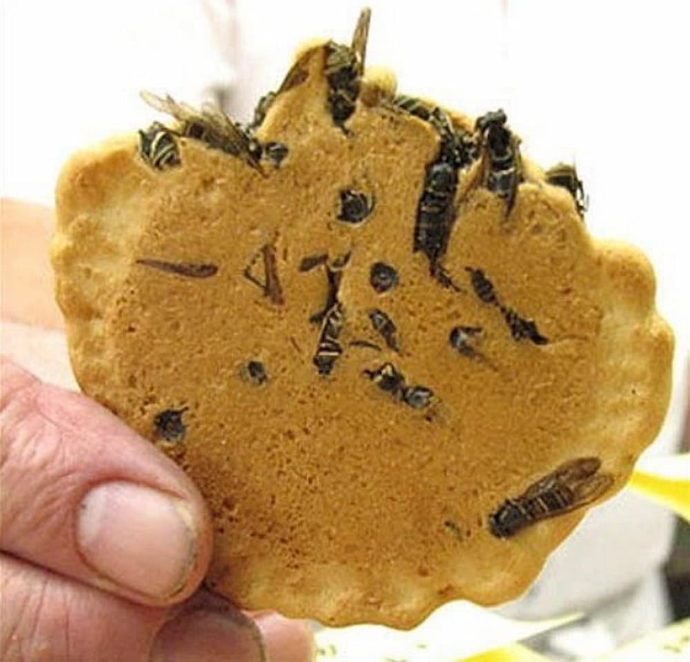 Wasp Crackers