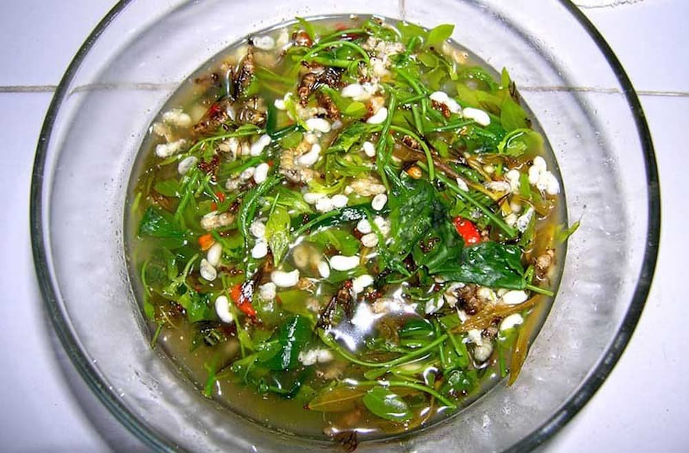 ant egg soup