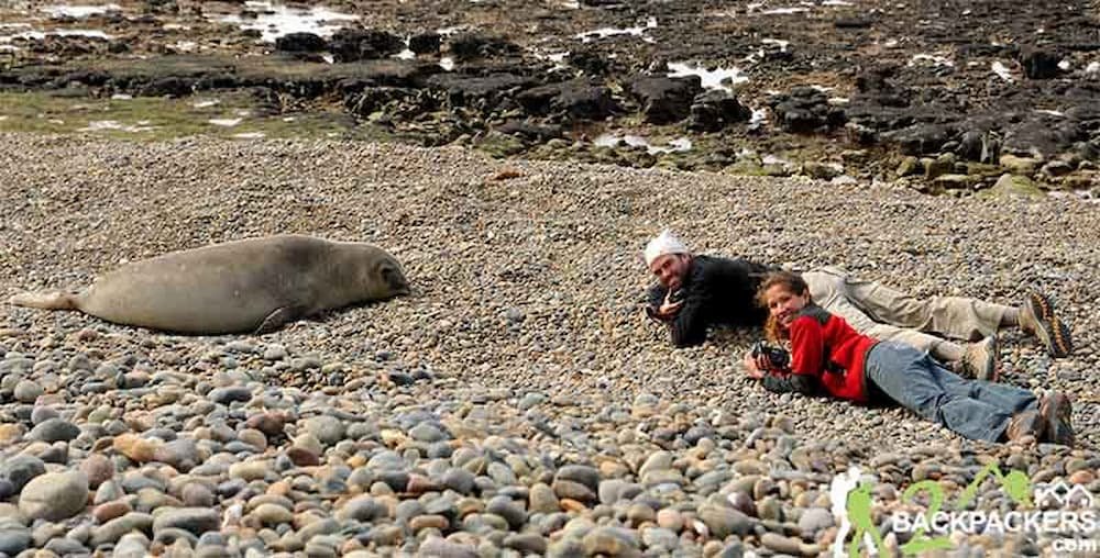 Jason and Aracely with Southern Elephant Seals