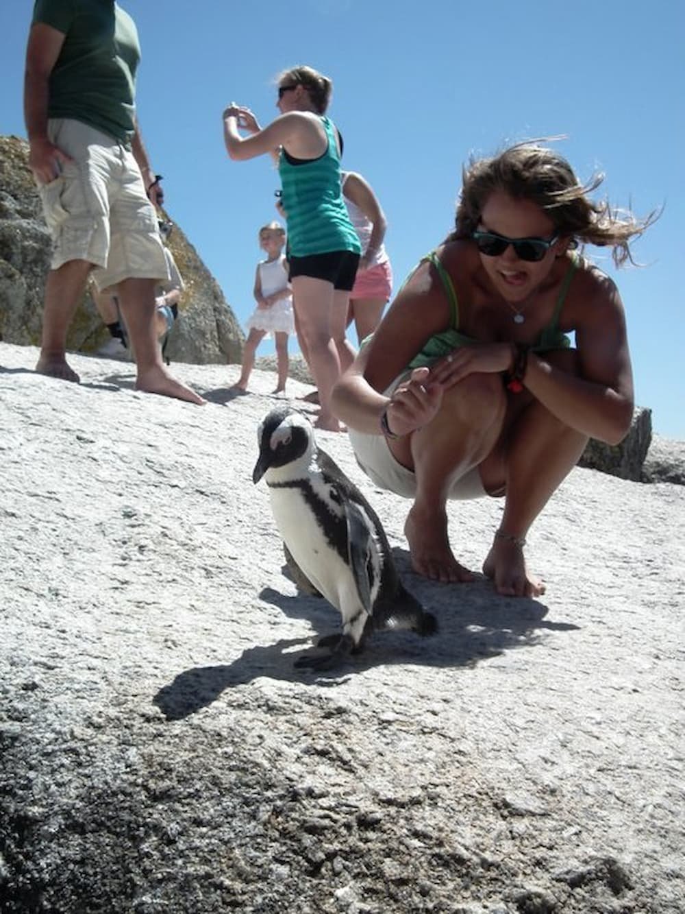 Meeting penguins in South Africa