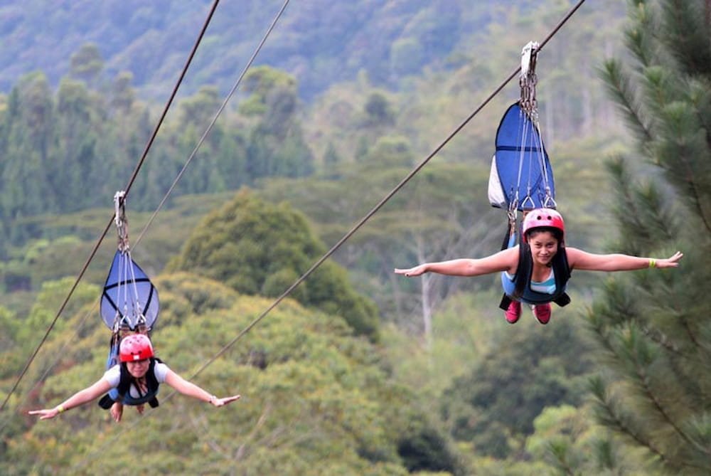 16 Of The Best Ziplines Around The World Backpacker Travel