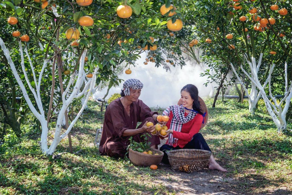 Packing fruit