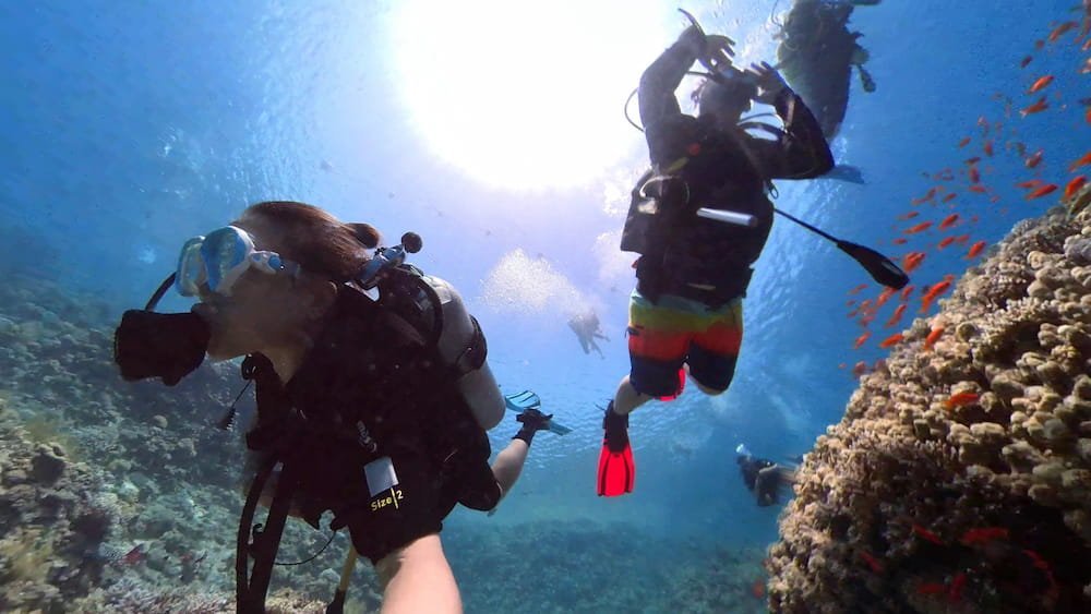 Selfie diving in Egypt