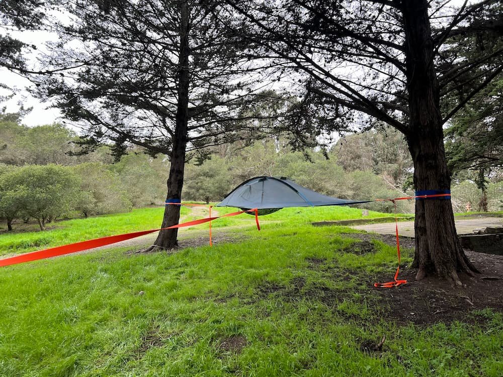 Completed tent between the trees