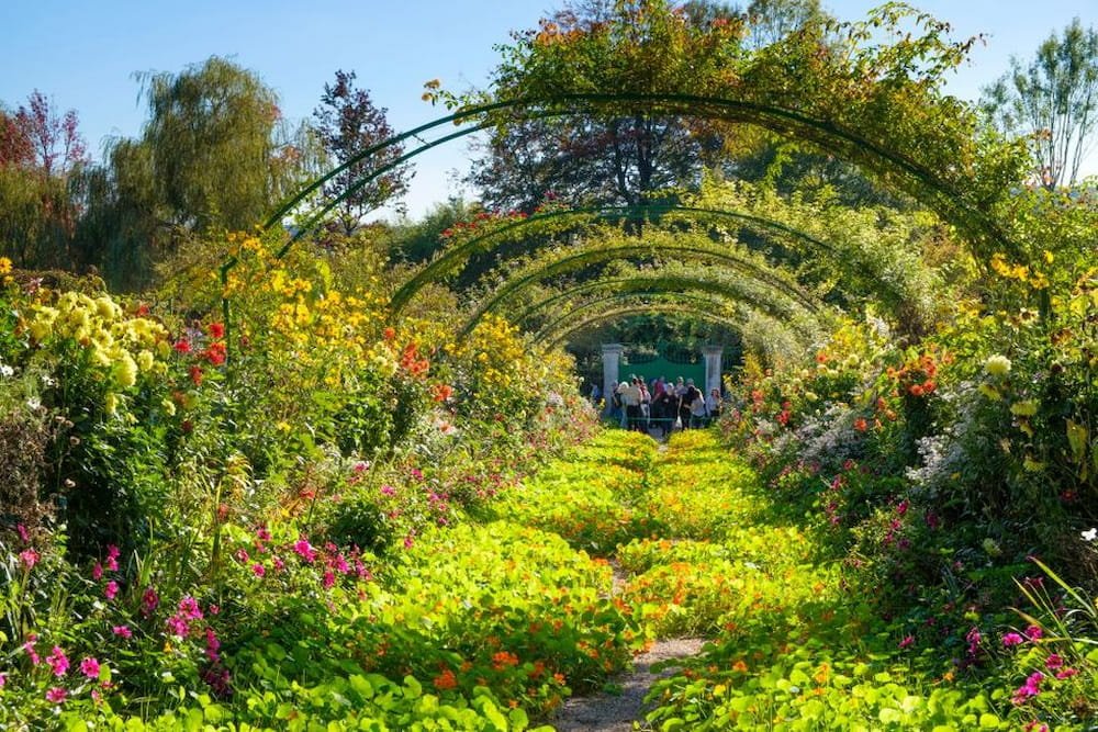 A beautiful covered pathway in the gardens