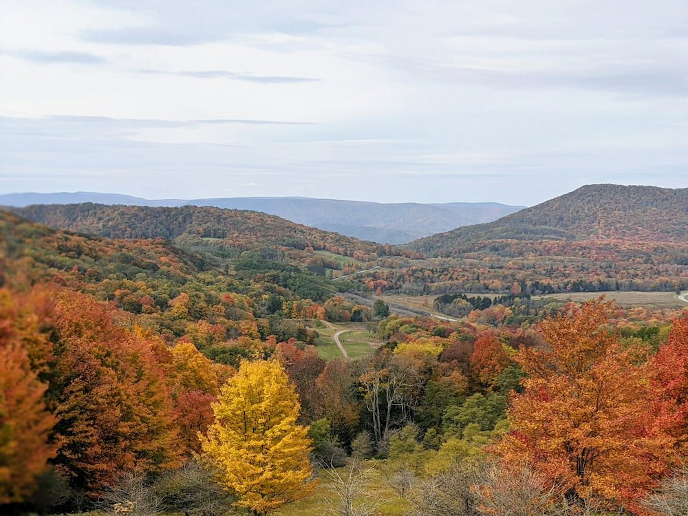 Shenandoah National Park